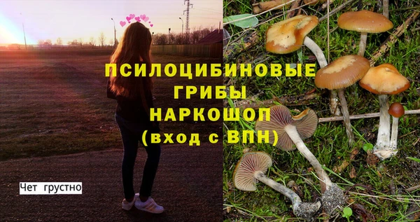 тгк Алексин