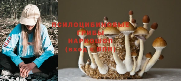 мефедрон мука Алексеевка