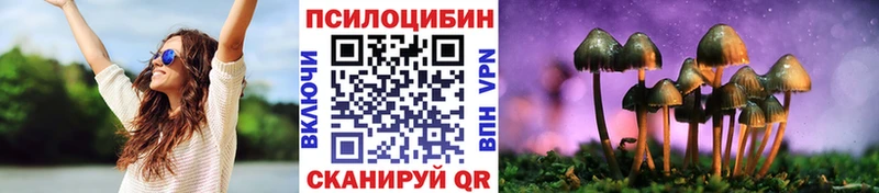 Псилоцибиновые грибы Magic Shrooms  продажа наркотиков  Карабаш 